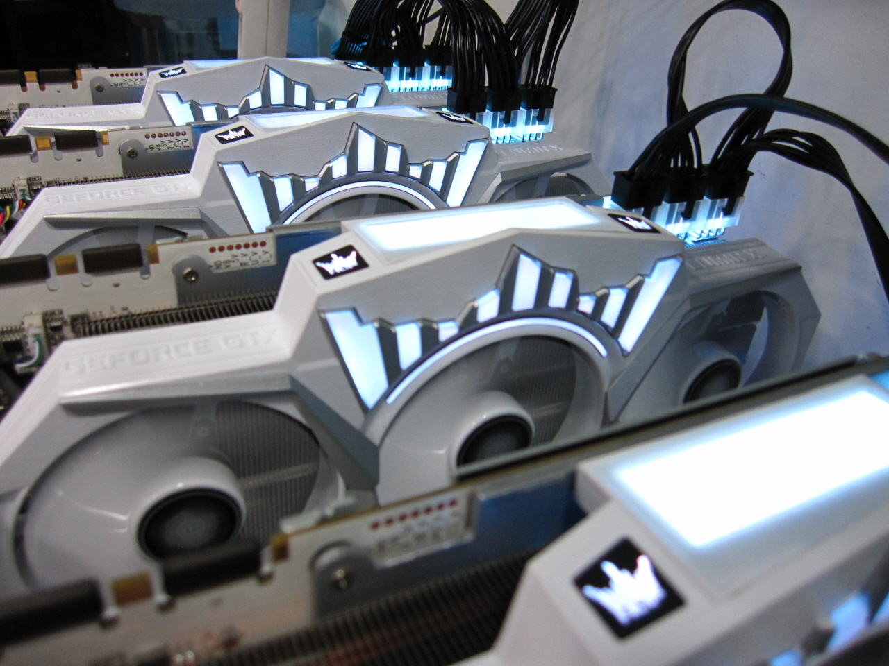 에브가 1080ti도,HOF도 채굴장으로 끌려 갔습니다. ㅠ.ㅠ - 짤방 - #메이저시스템